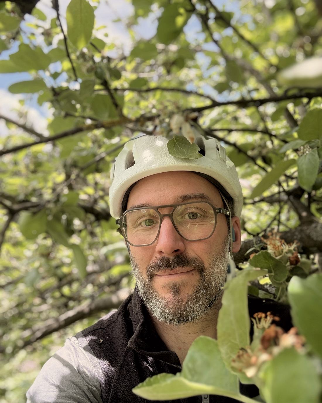 Josua Hundertmark beim Obstbaumschnitt zwischen Apfelblüten