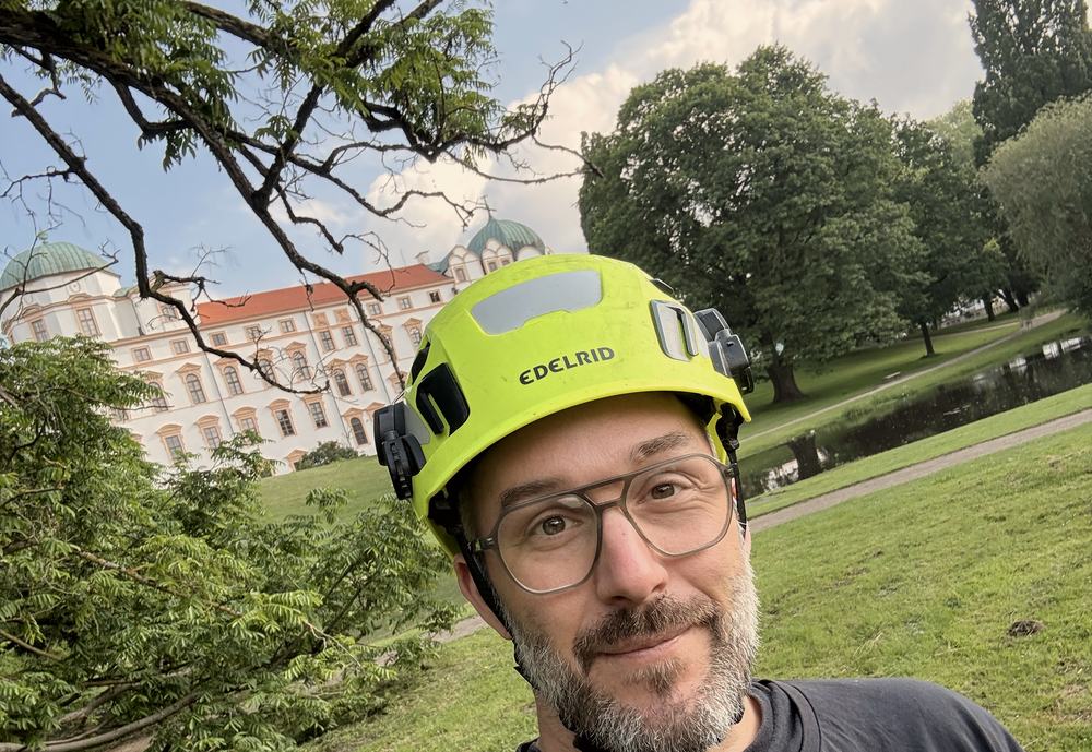 Nach der Pflege der Kaukasischen Flügelnuss im Schlosspark