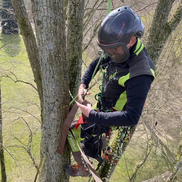 Kletterer im Seil beim Einbau einer Sicherung in der Krone
