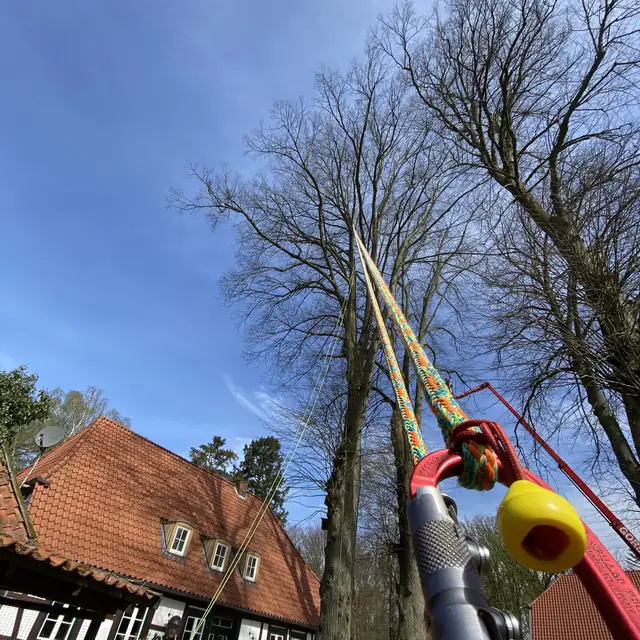 Klettersystem mit Seil und Karabinern am Baum, dahinter ein Fachwerkhaus